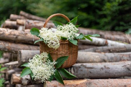 Elderflower-Infused Honey Image